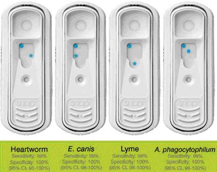 idexx 4dx|idexx 4dx lyme positive.